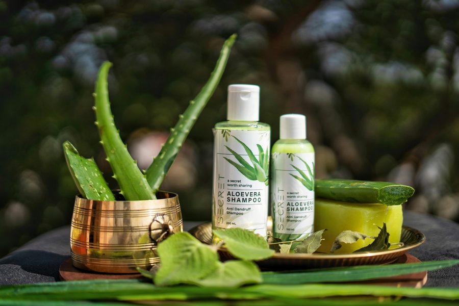 Hoja de aloe vera con gel transparente